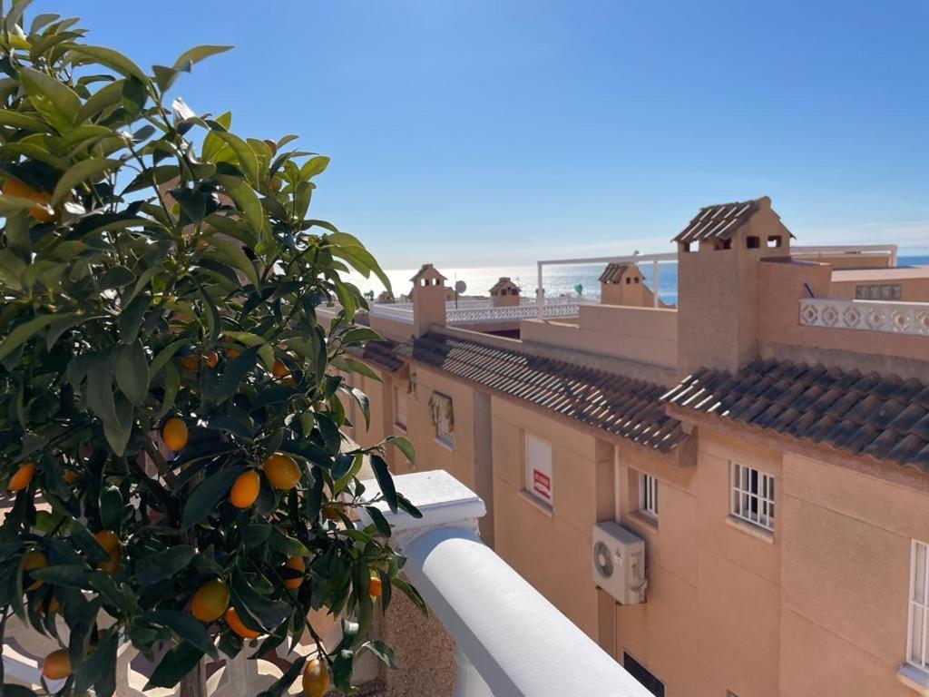 Apartament La Mata Torrevieja Bagian luar foto